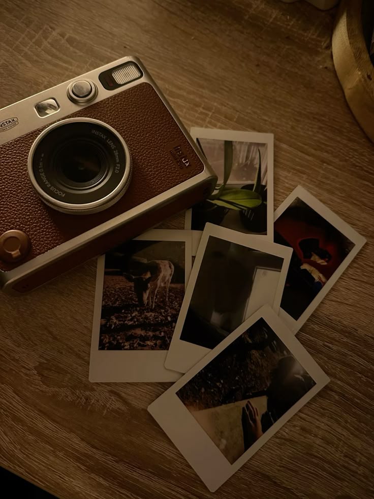 Документальная фотография